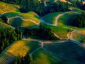 California wine tour: more than just Napa Valley
