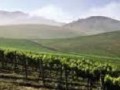 Wine and Temperature