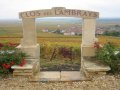 France: LVMH buys first Burgundy vineyard