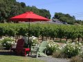 California's Sonoma Wine Road direct flight away from Portland airport