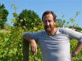 Wine consultants are ‘plastic surgeons’