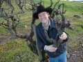 To Discover The Magic Of Good Zinfandel, Ask This Winemaker