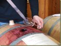 Thousands turn out for Sonoma County wine barrel tasting