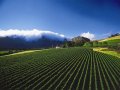 Richard Branson to buy South African hotel and vineyard