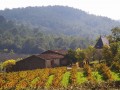Languedoc, French wines with terroir, character and personality