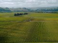 NZ: Villa Maria expands in sought-after Gimblett Gravels