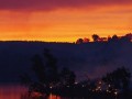 The Heat is on in Australia as Fire Engulfs Vineyard