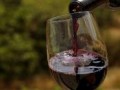 Bacchus inspires new wine-makers in Lebanon
