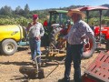 Tales From the Dry Farmed Vineyard