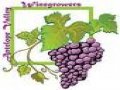 High desert area seeks special winemaking designation