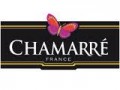 Chamarre rescued by Alain Dominique Perrin