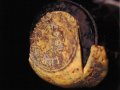Antique Wine Co asks court to dismiss $25m lawsuit