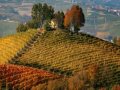 Barolo vineyards get UNESCO World Heritage status