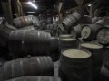 Chile’s winemakers struggle in quake aftermath