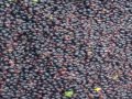 How Does Wine Affect My Esophagus? Insights On Marketing In China