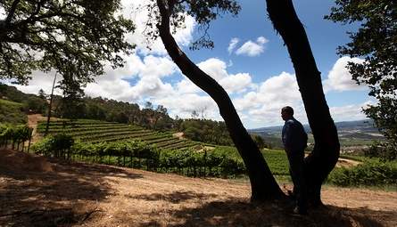 US: Snapping up vineyards