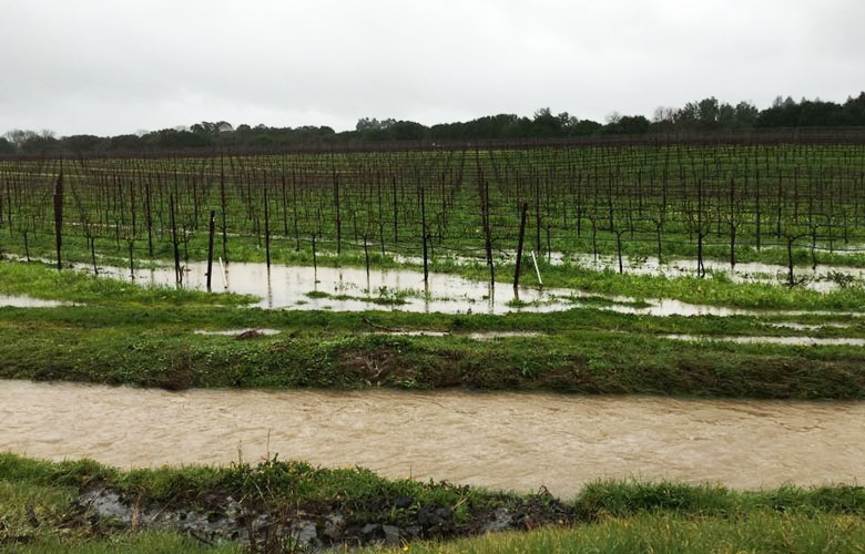 Grapegrowers Applaud WOTUS Rollback