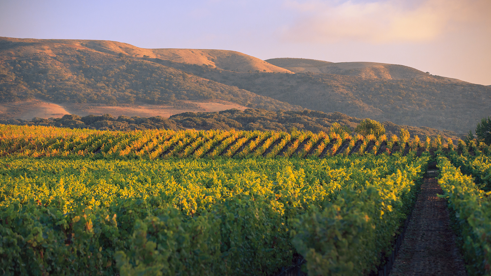 Exclusive: Jackson Family Buys California Pinot Star Brewer-Clifton