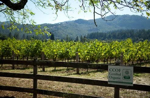 SPOTTSWOODE ESTATE VINEYARD & WINERY HONORED WITH THE 2017 GREEN MEDAL ENVIRONMENT AWARD